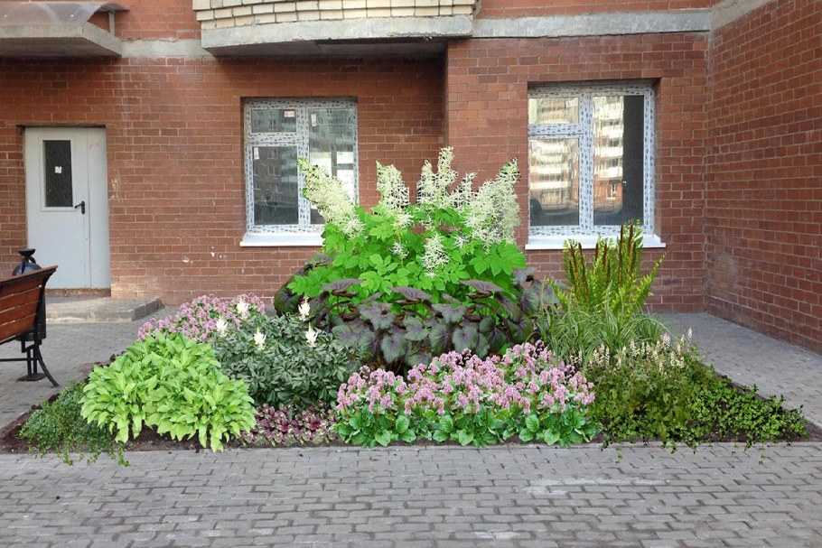 Цветник у подъезда