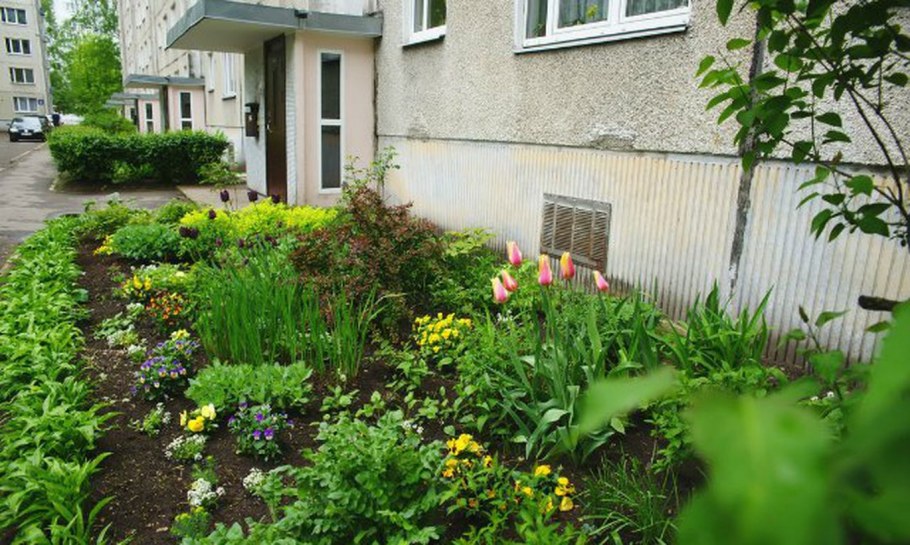 Клумба перед подъездом