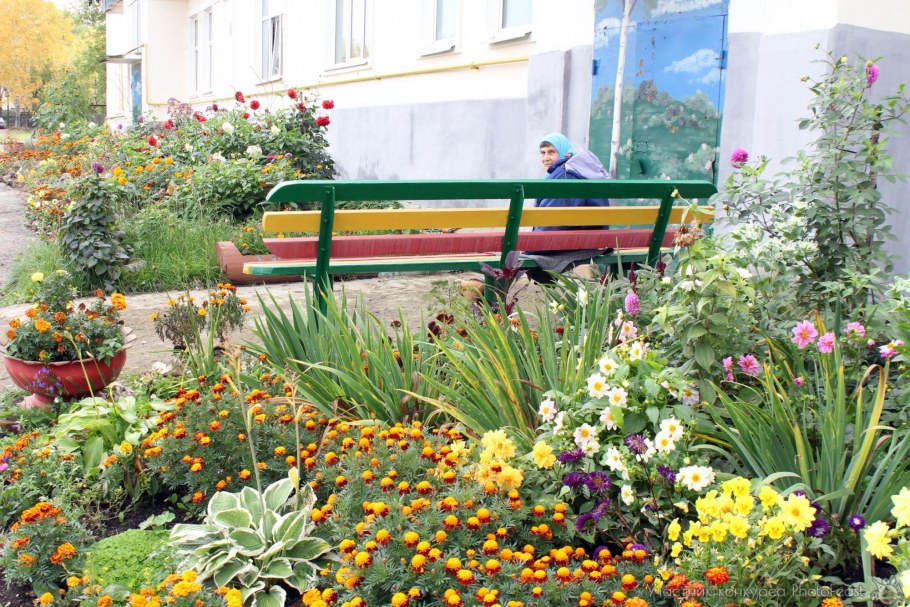 Цветочная клумба у подъезда