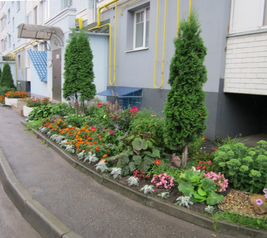 Палисадник у подъезда