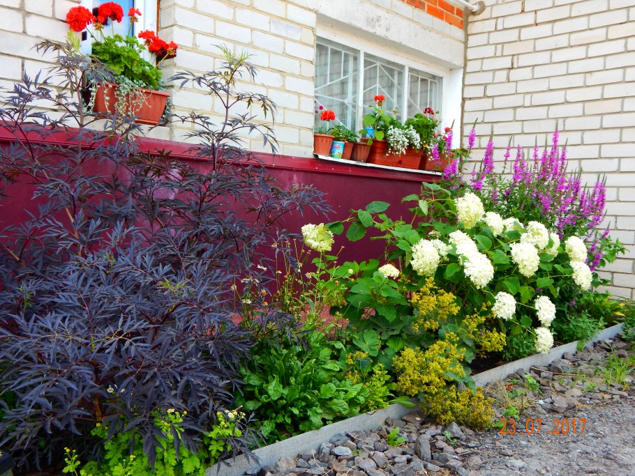 Палисадник у подъезда