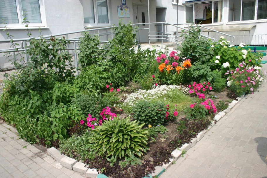 Палисадник у подъезда многоэтажки