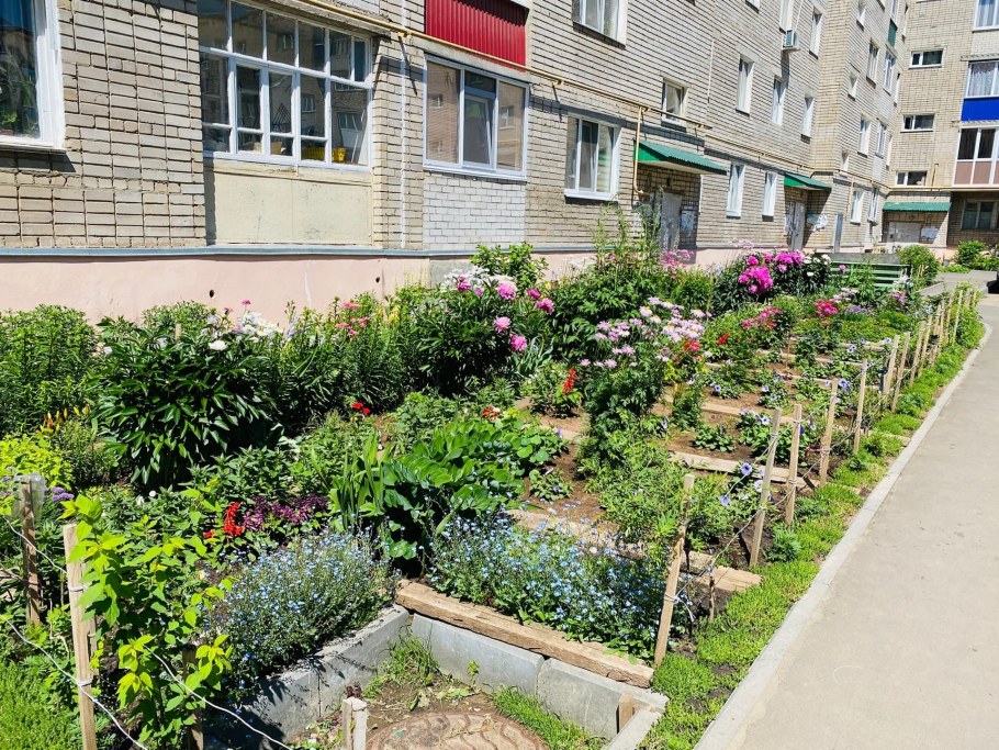 Палисадник возле МКД