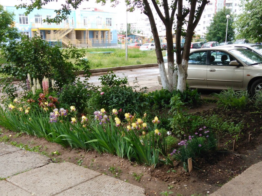 Цветники и клумбы возле подъезда