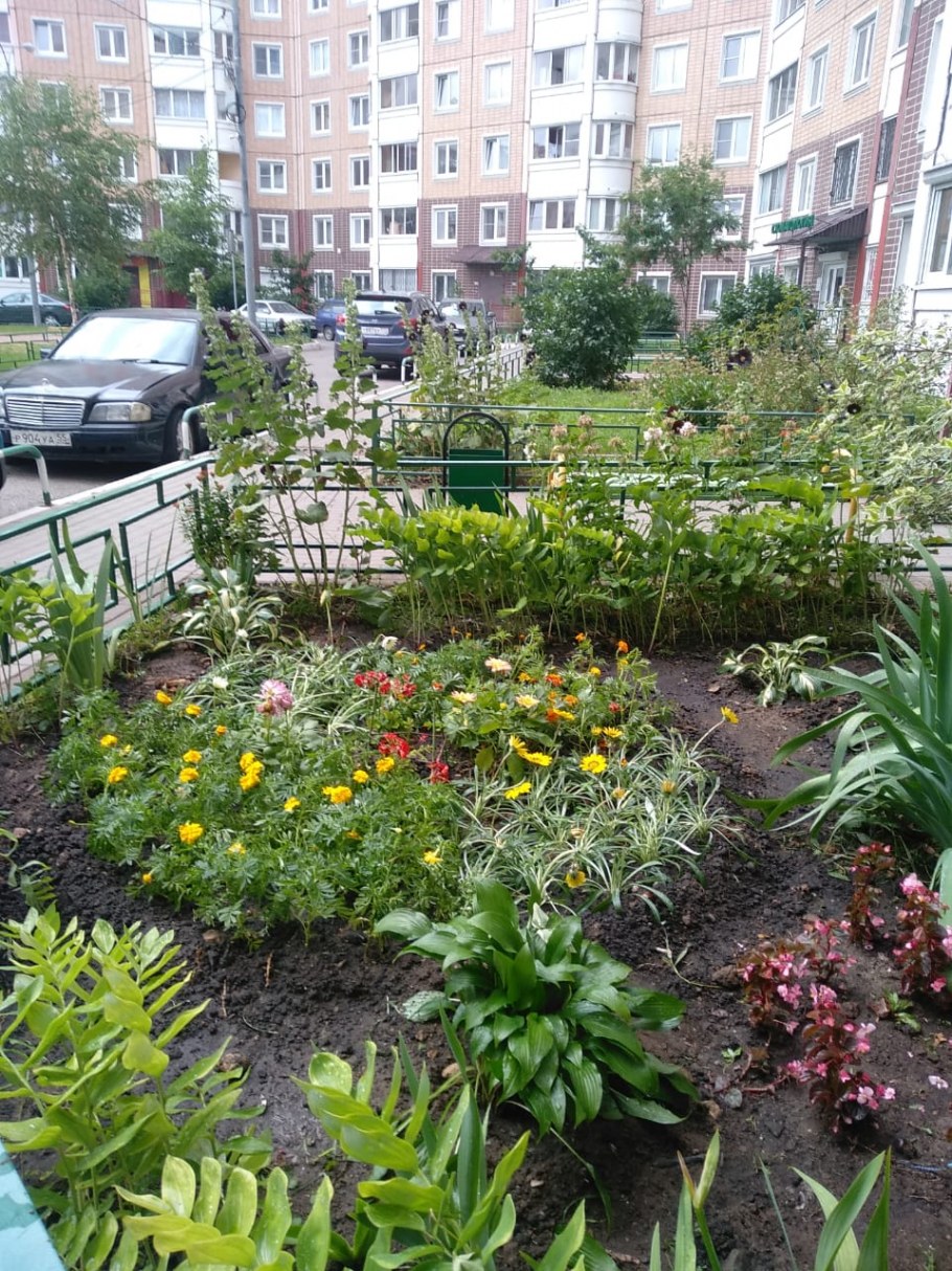Форма клумбы у подъезда