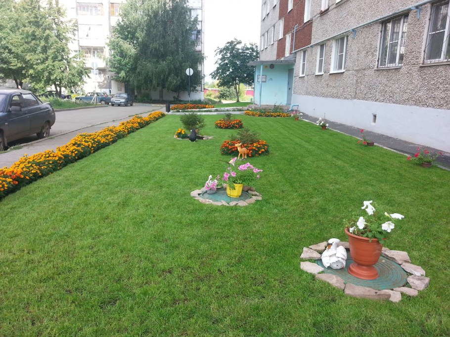Украсить у подъезда клумбы