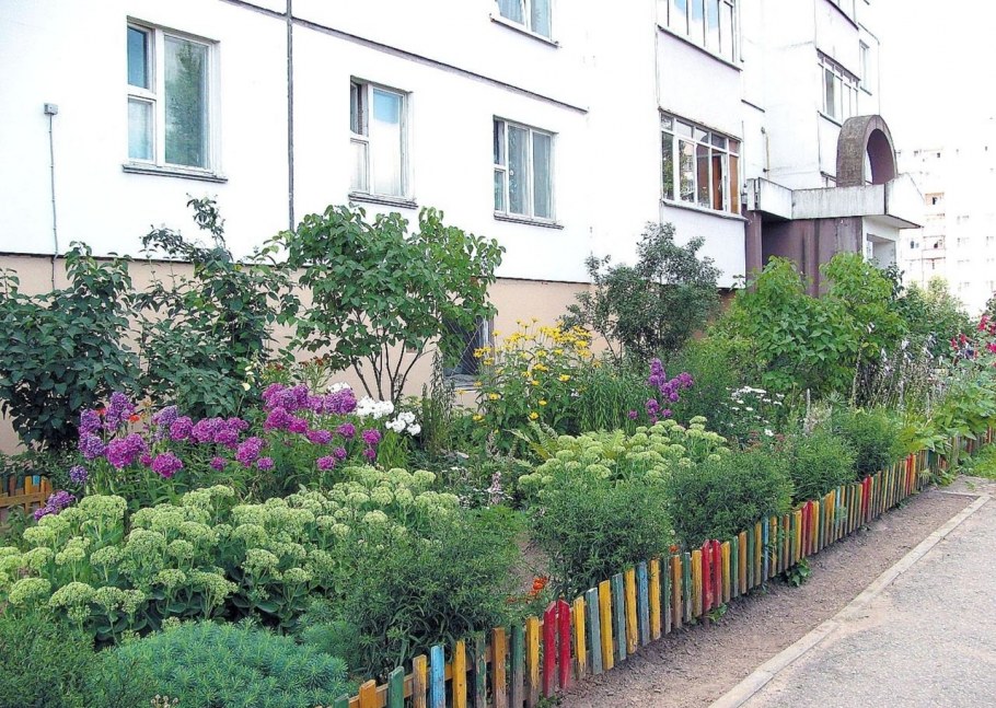 Палисадник около подъезда