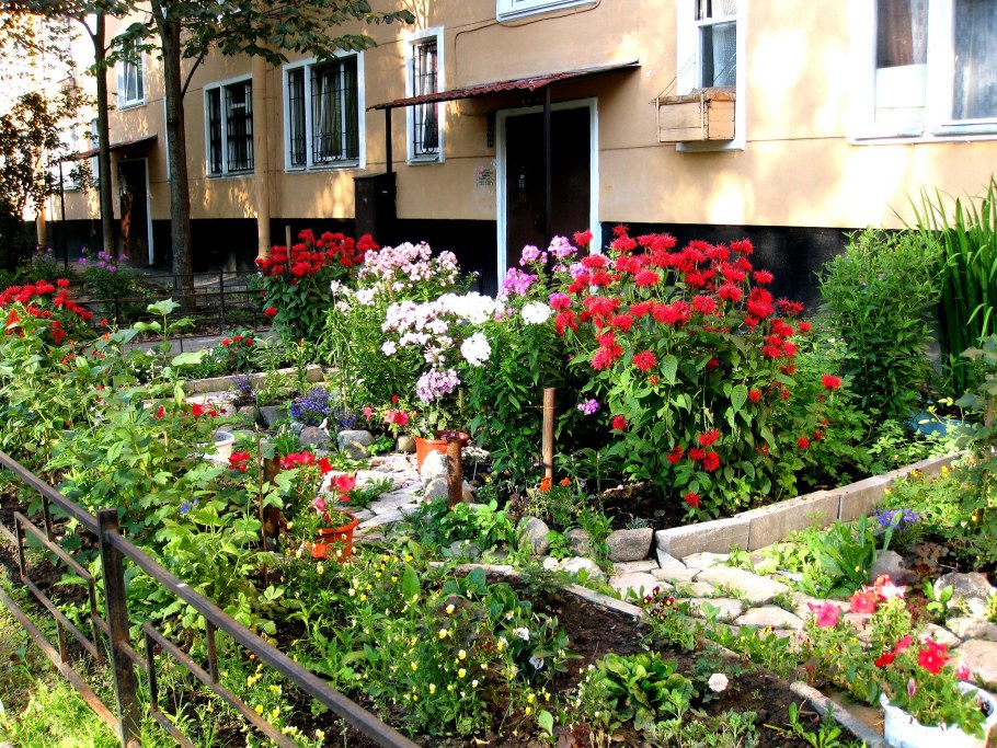 Красивые клумбы у подъезда