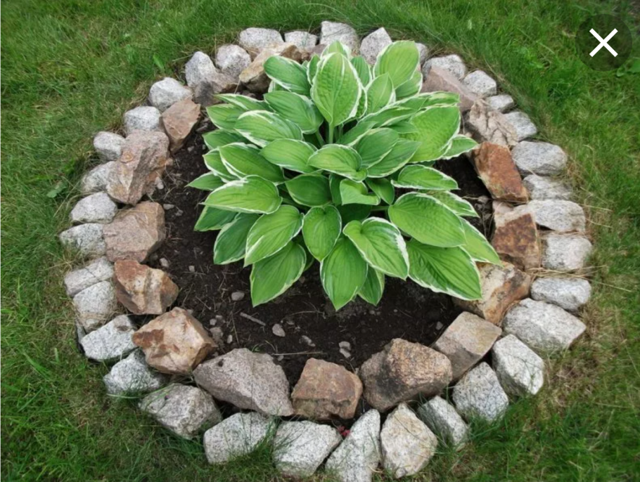 Клумба из шин