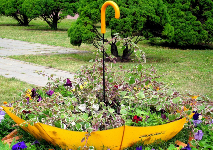 Красивые клумбы