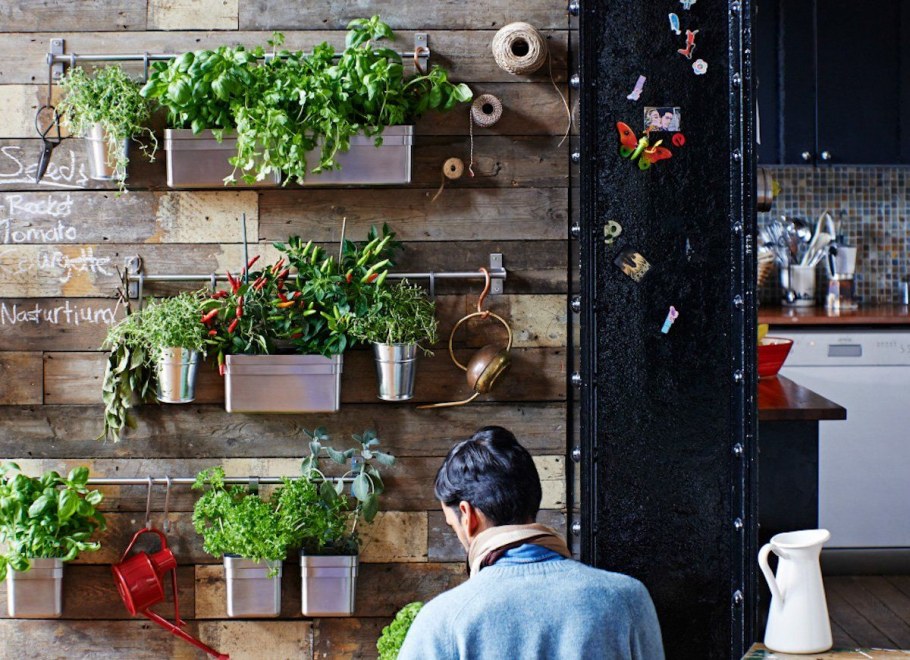 Гарден Китчен Garden Kitchen