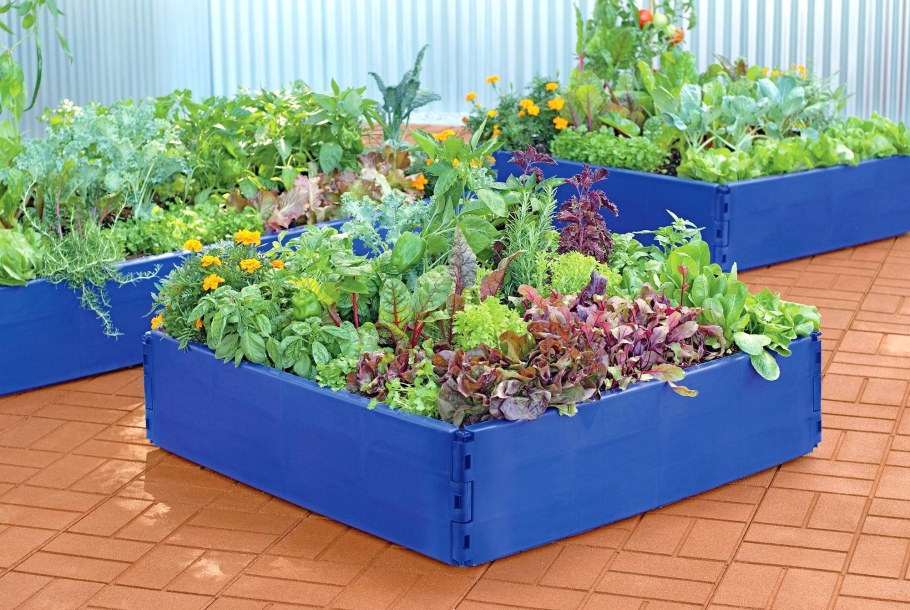 Ограждение для грядок из поддонов