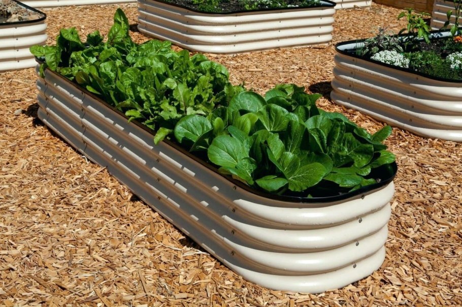 ГАРДЕНПЛАСТ заборчик декоративный