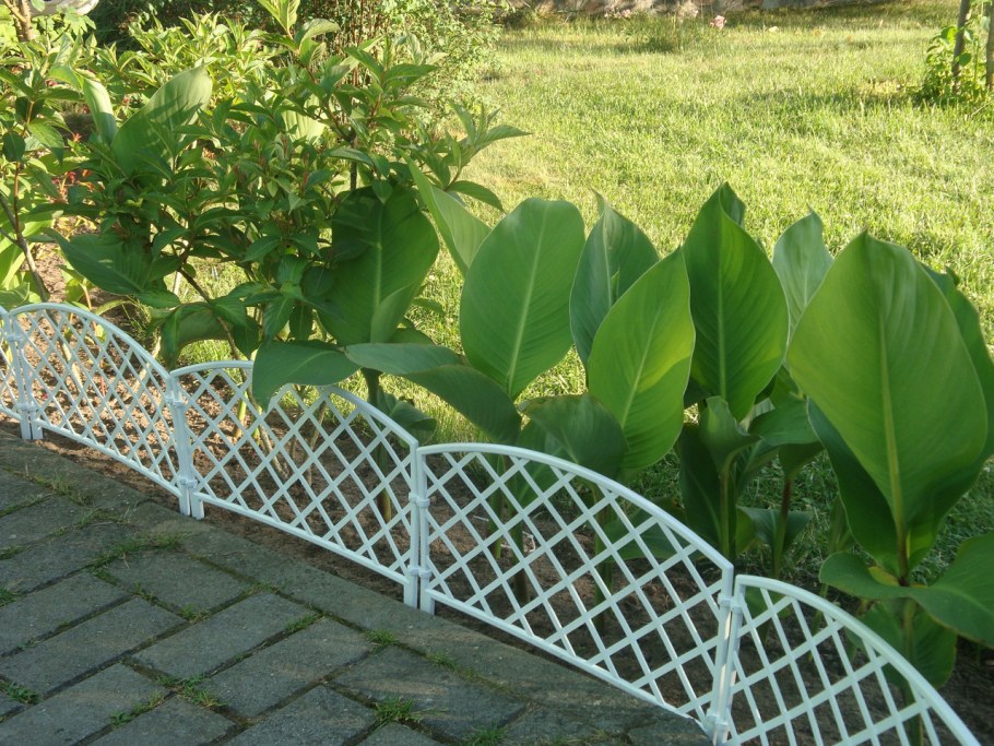 Вертикальное Озеленение в контейнерах