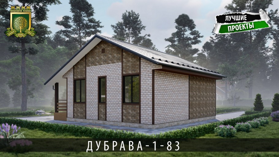 Каркасный дом из Китая под ключ