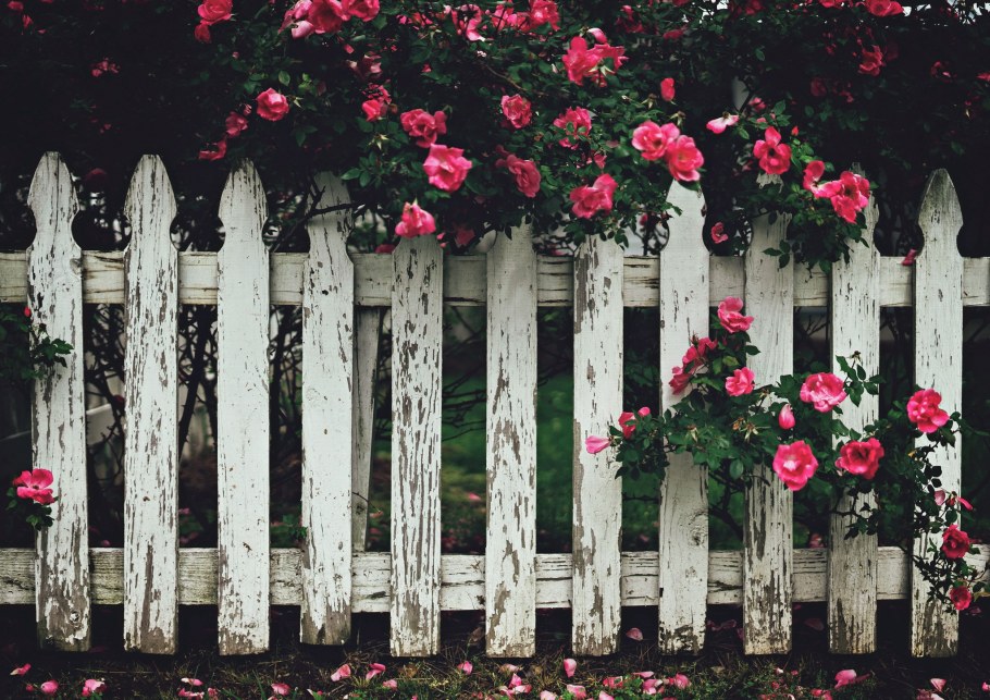 Красивый забор с цветами