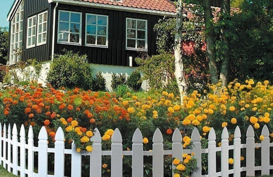 Палисадники в Голландии