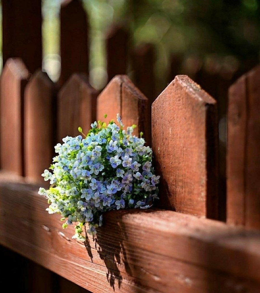 Изгородь с цветами