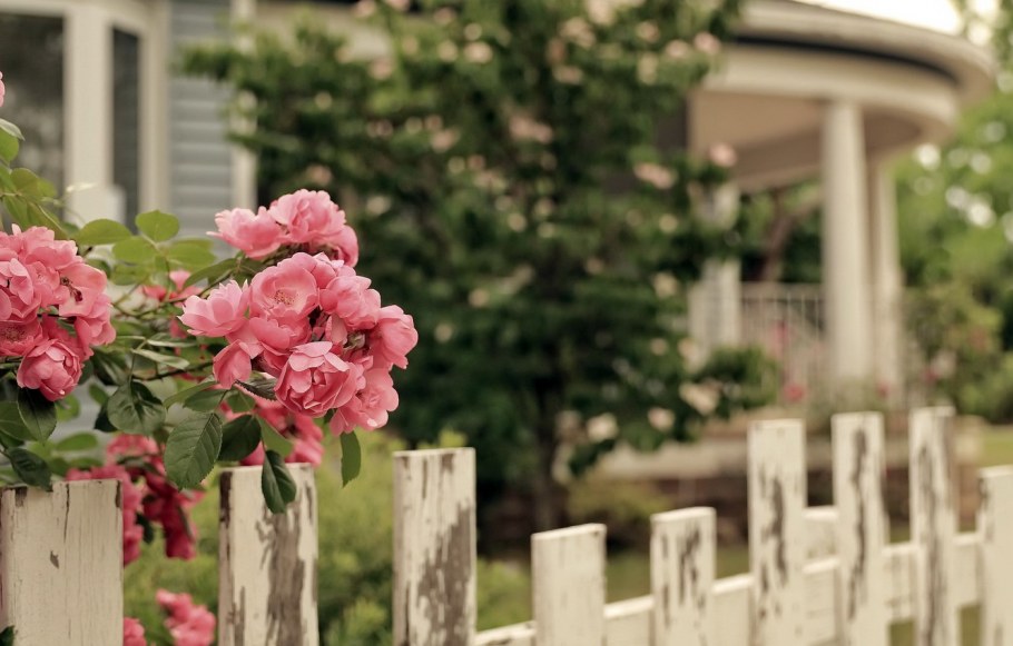 Фон забор с цветами