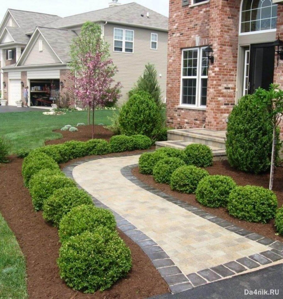 Парадный миксбордер