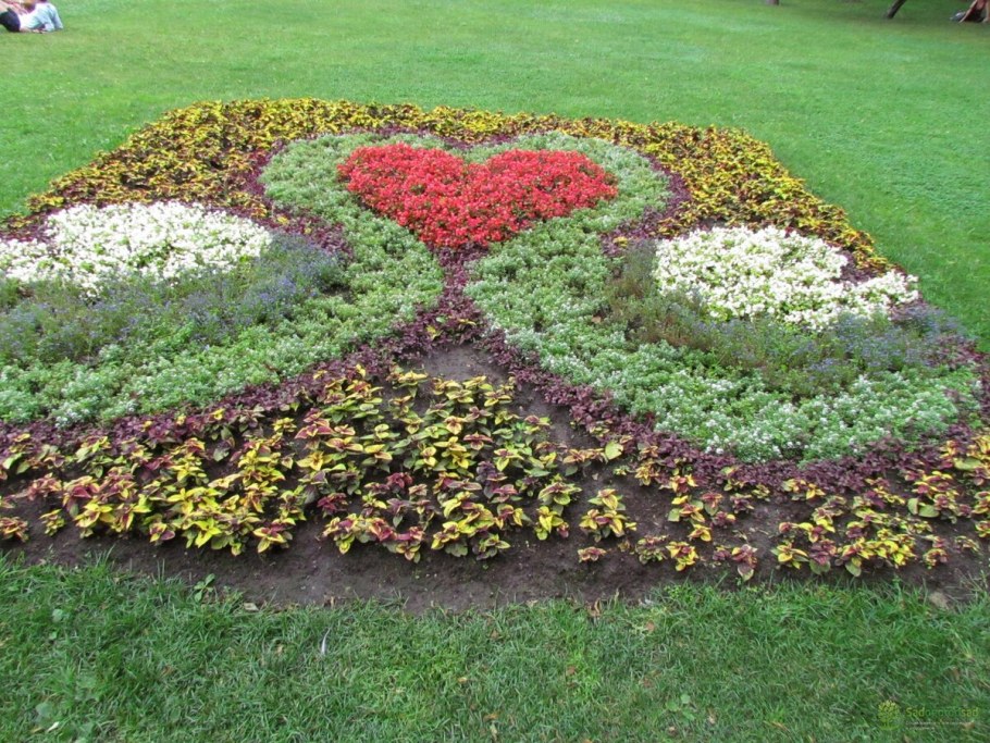 Рабатка на газоне