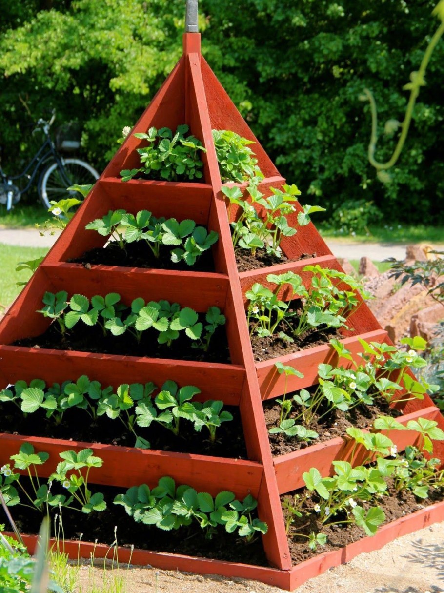 Клумбы для школьного двора