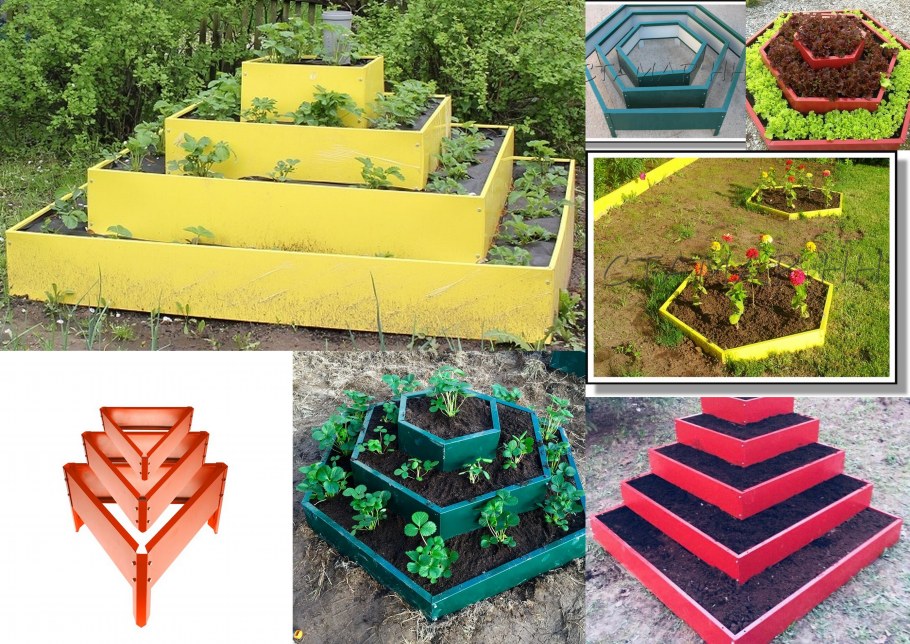 Туя Даника в миксбордере