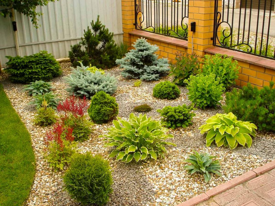 Клумбовые многолетники.