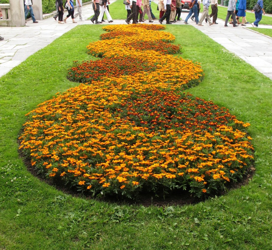 Хелен парк+ ландшафт