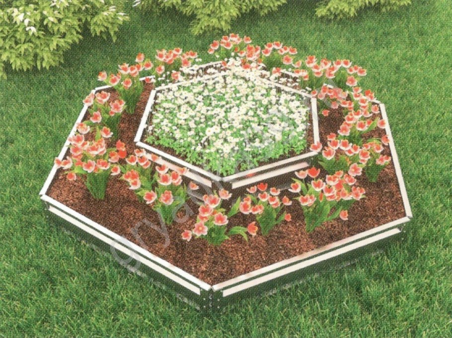 Клумба туя Хоста можжевельник