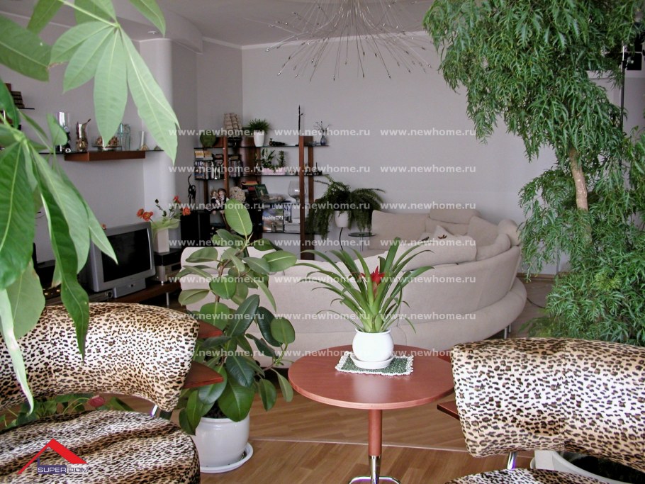 Цветы в интерьере