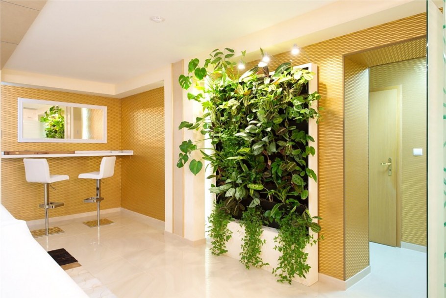 Комнатные цветы в интерьере