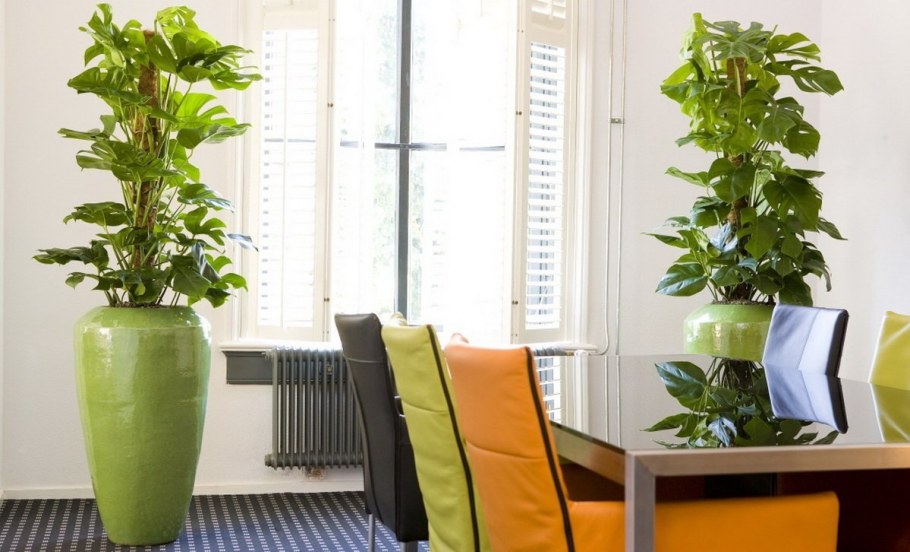 Фейка искусственное растение в горшке фикус Бенджамина экзотика 21 см