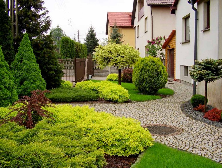 Озеленение участка