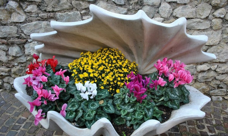 Необычные клумбы