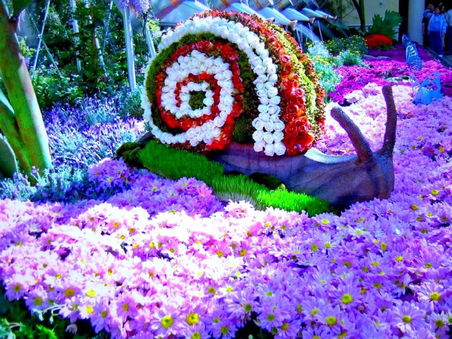 Оригинальные клумбы