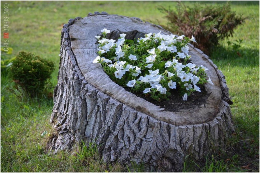 Клумбы из подручноготматериала