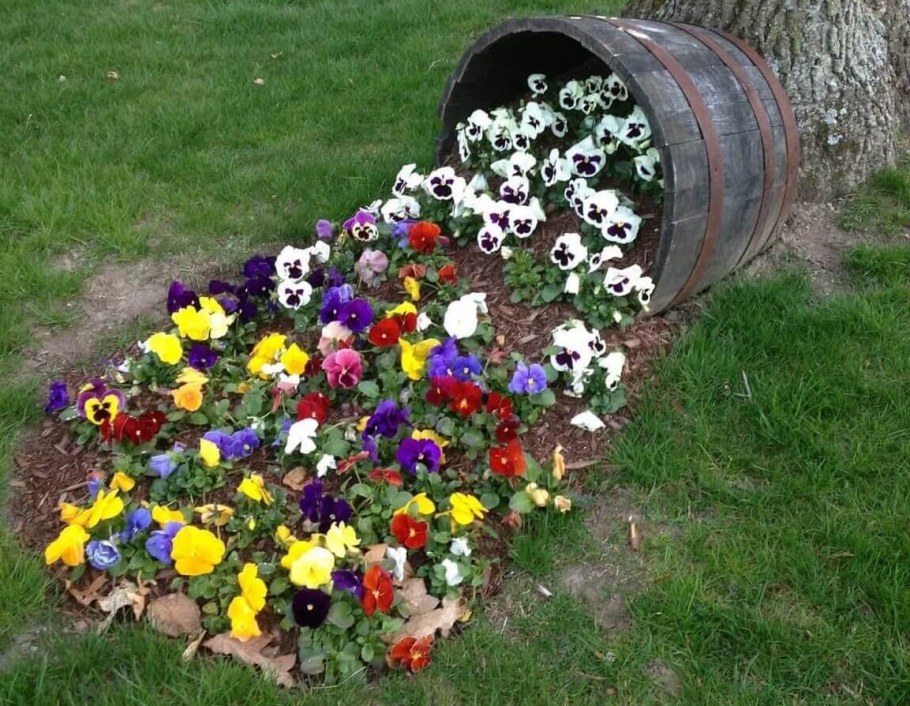 Клумбы из подручных материалов