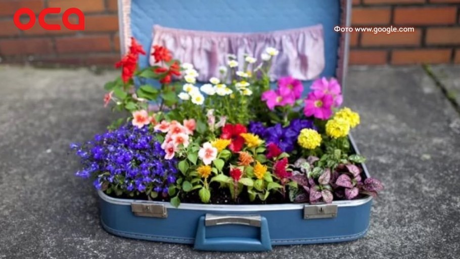 Декоративные клумбы на даче