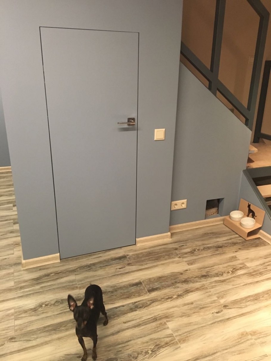 Двери Софья Инвизибл