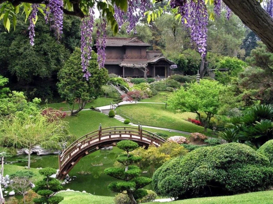 Ботанический сад Цицина японский сад