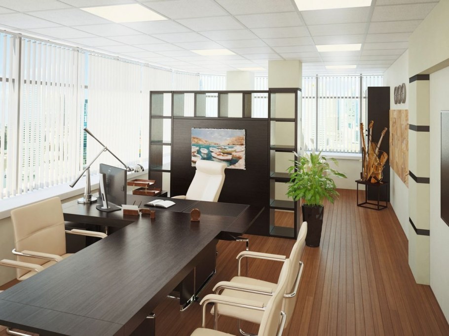 Интерьер кабинета директора школы