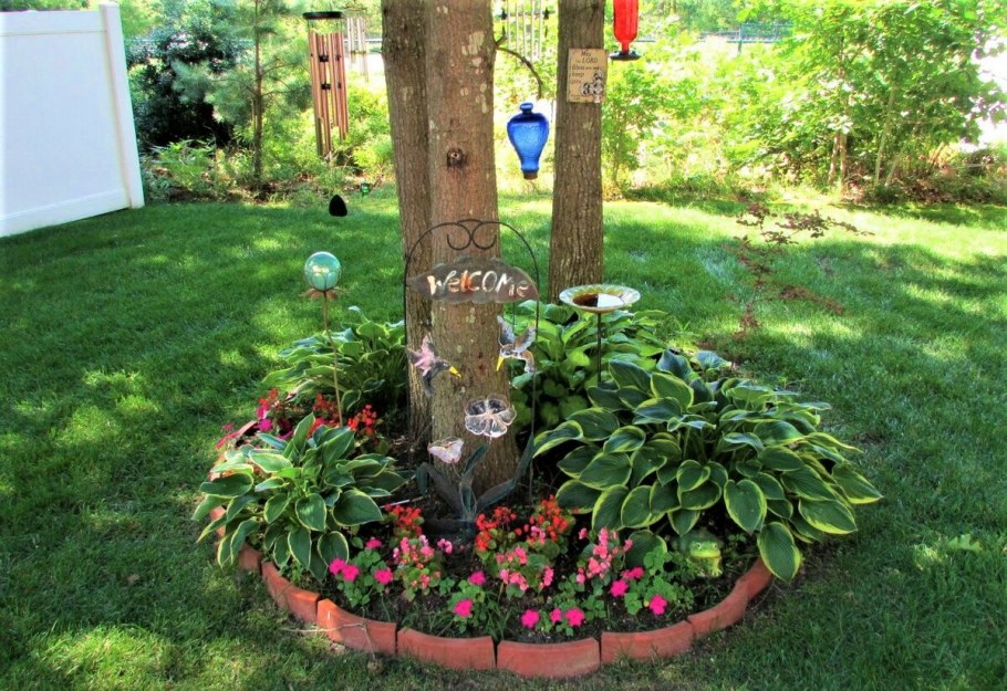 Приствольный круг вокруг яблони