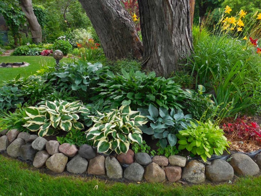 Хоста в рокарии