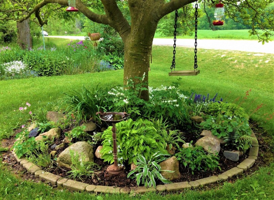 Приствольный круг вокруг кустарников