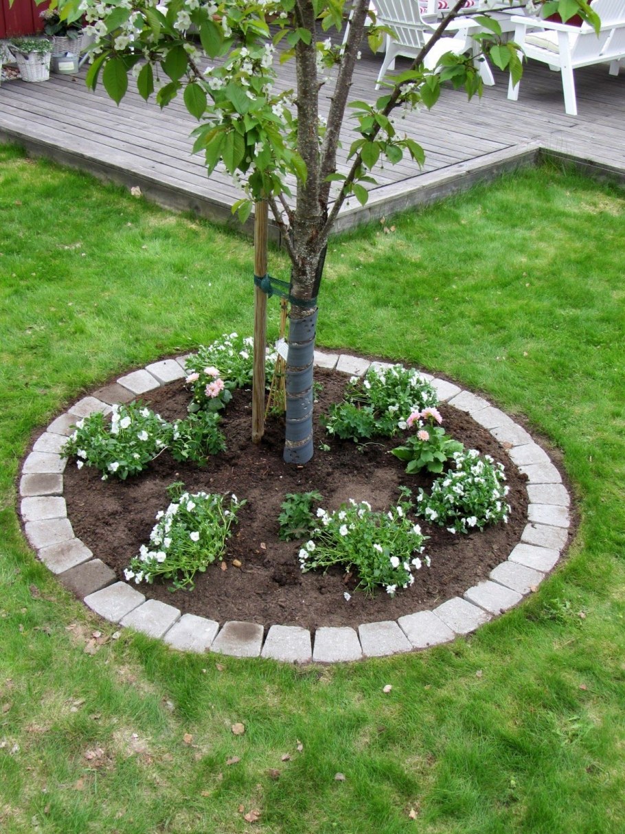 Приствольный круг плодовых