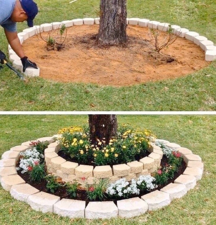 Клумба вокруг дерева