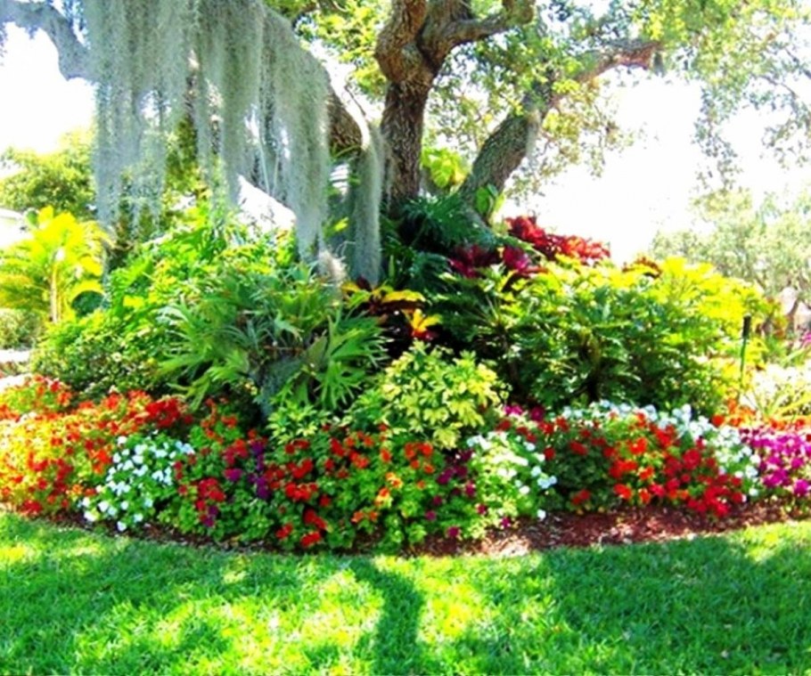 Приствольный круг яблони портулак