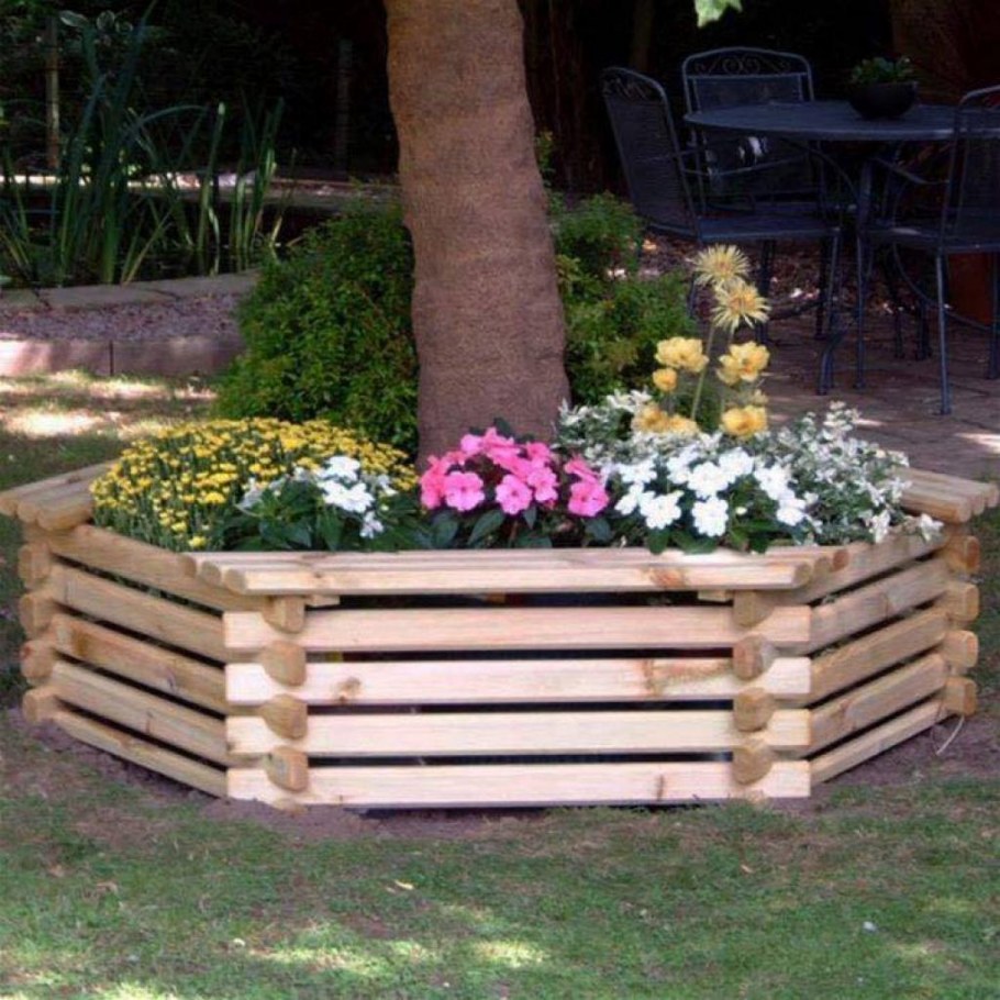 Приствольные круги вокруг деревьев