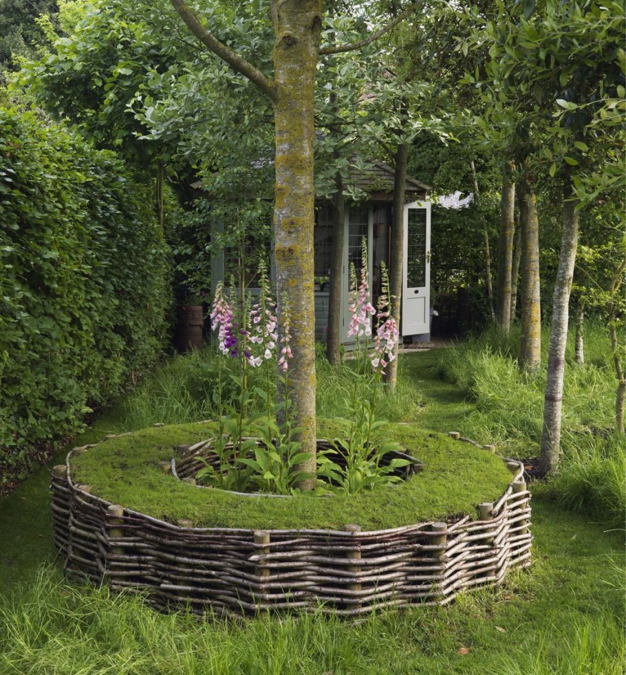 Приствольный круг яблони портулак